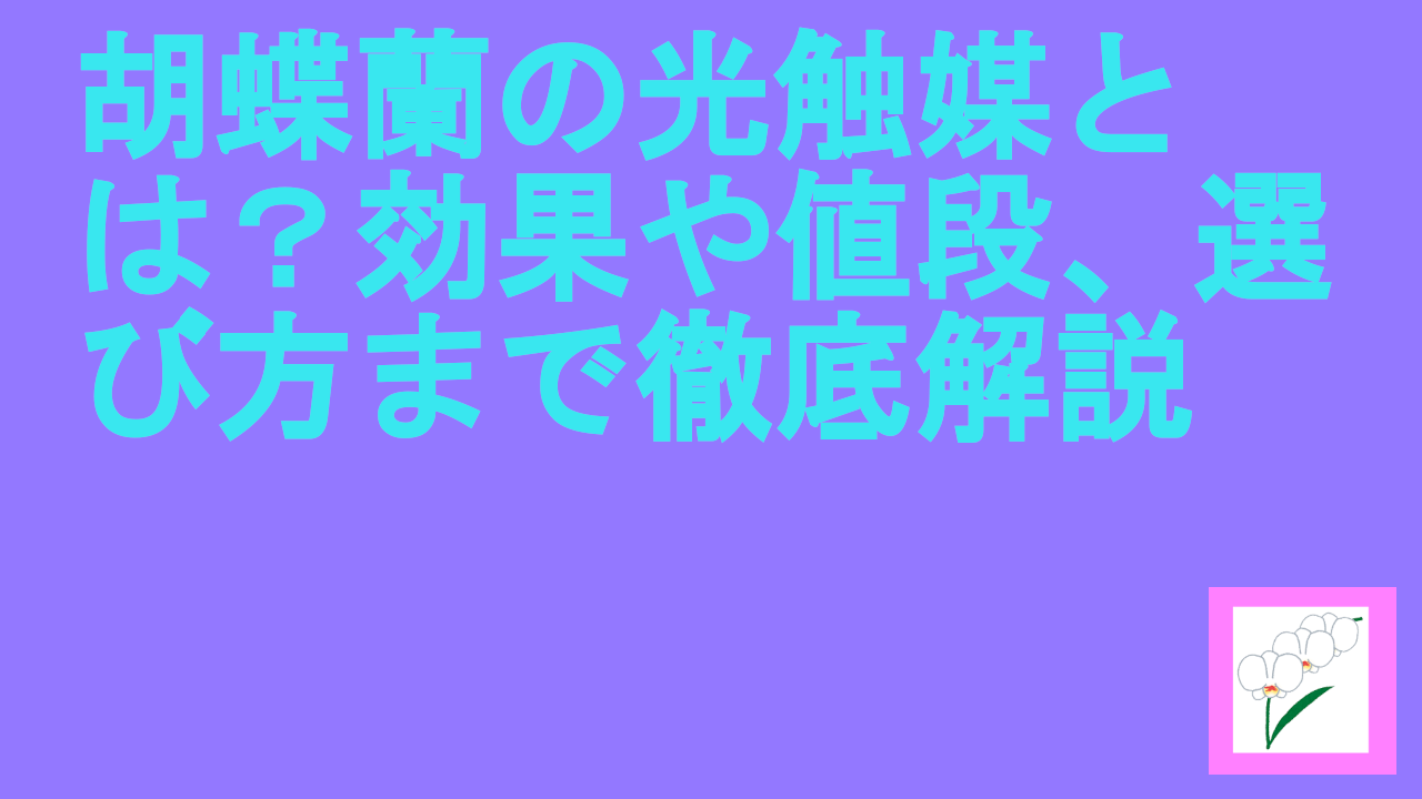 胡蝶蘭の光触媒とは？効果や値段、選び方まで徹底解説