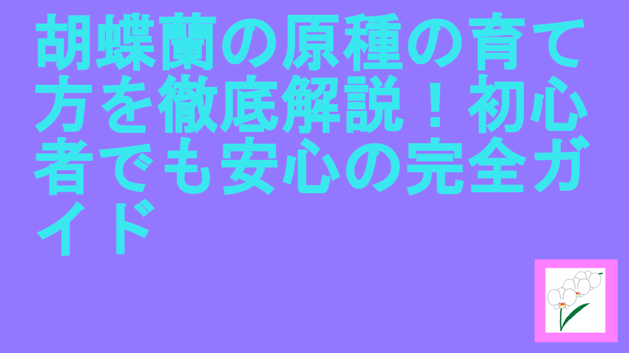 胡蝶蘭の原種の育て方を徹底解説！初心者でも安心の完全ガイド