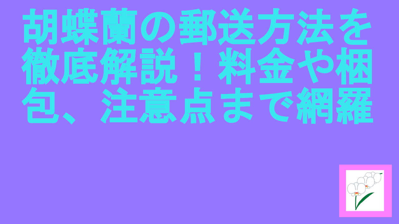胡蝶蘭の郵送方法を徹底解説！料金や梱包、注意点まで網羅