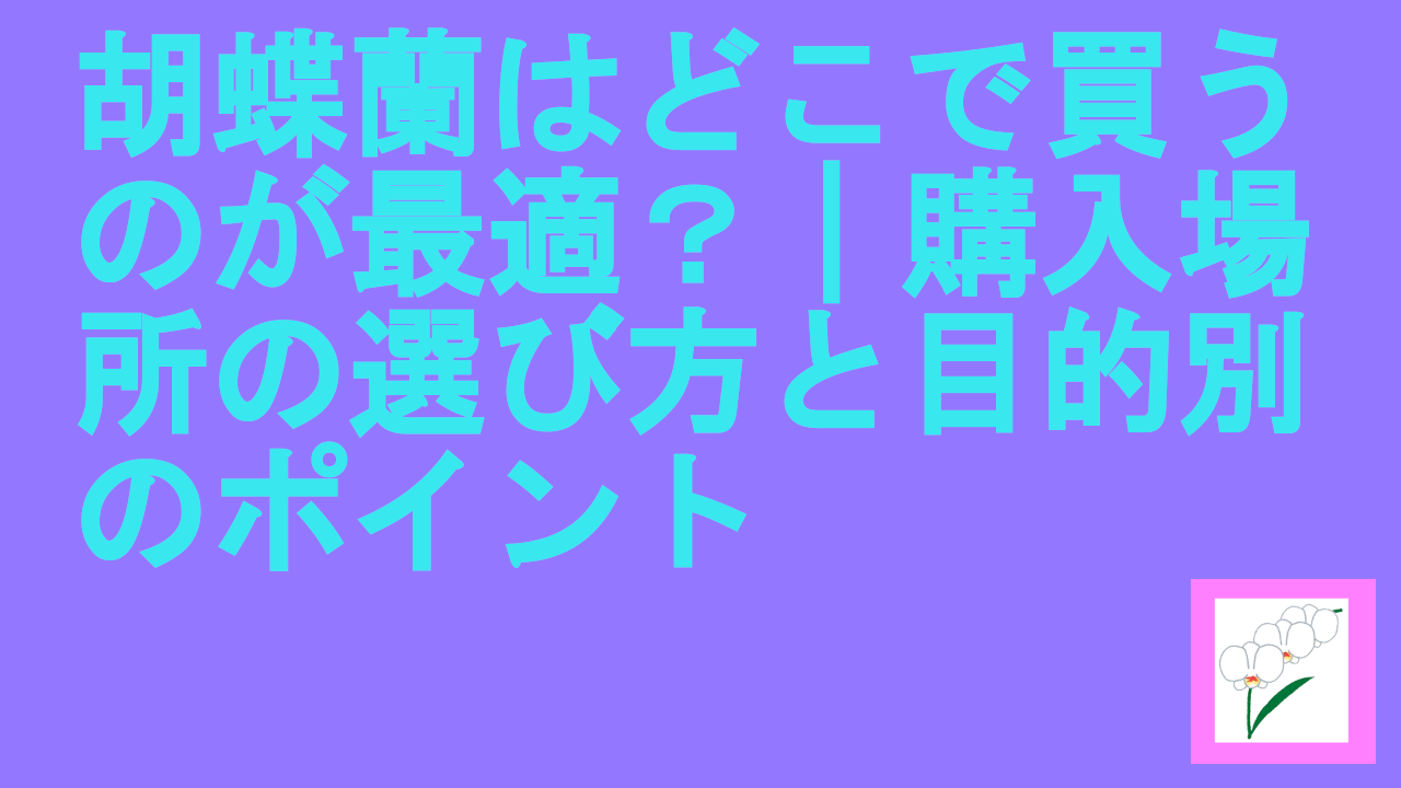 胡蝶蘭はどこで買うのが最適？｜購入場所の選び方と目的別のポイント
