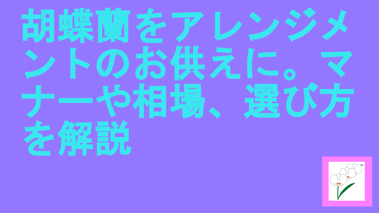 胡蝶蘭をアレンジメントのお供えに。マナーや相場、選び方を解説