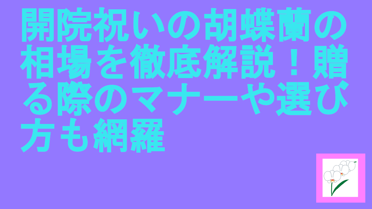 開院祝いの胡蝶蘭の相場を徹底解説！贈る際のマナーや選び方も網羅