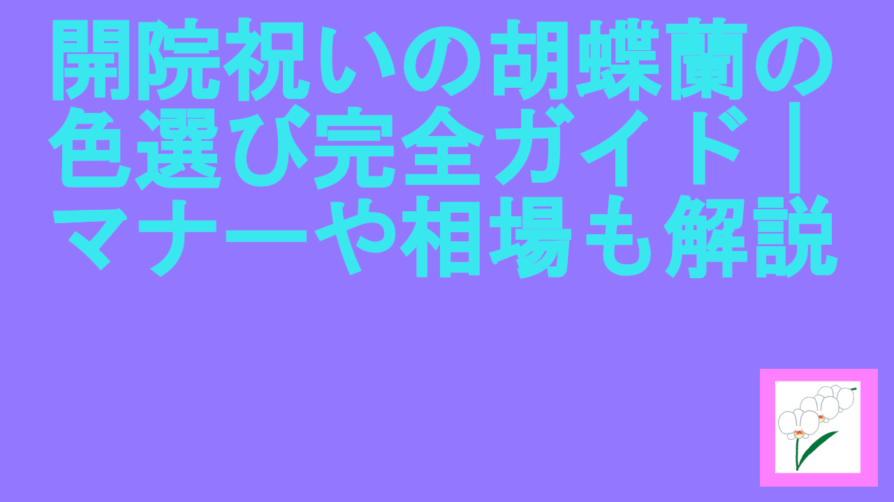 開院祝いの胡蝶蘭の色選び完全ガイド｜マナーや相場も解説