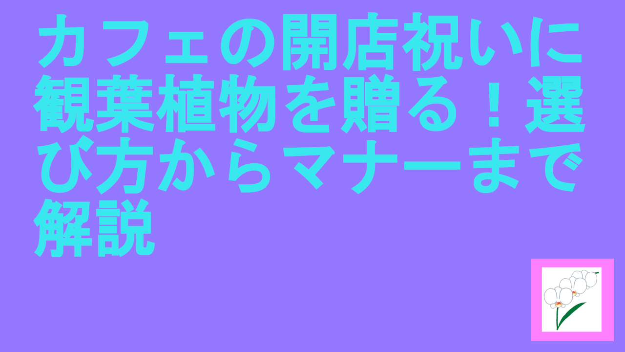 カフェの開店祝いに観葉植物を贈る！選び方からマナーまで解説