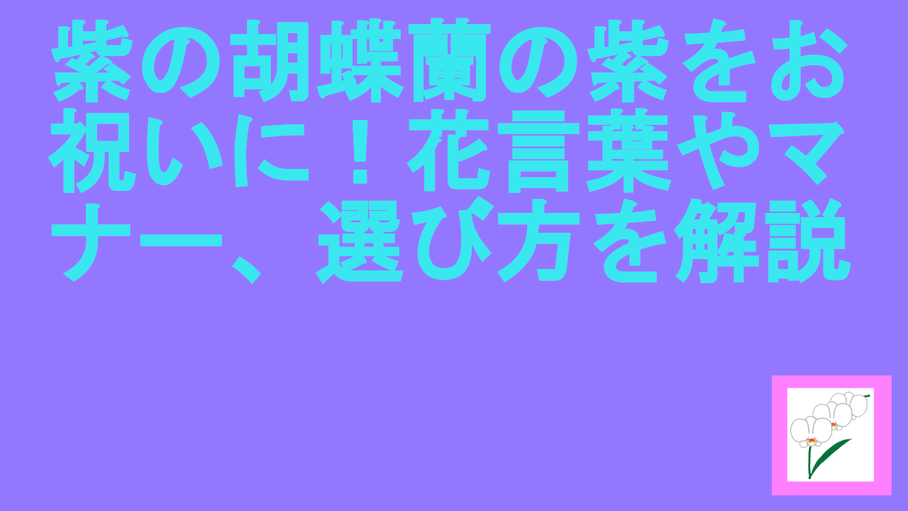 紫の胡蝶蘭の紫をお祝いに！花言葉やマナー、選び方を解説