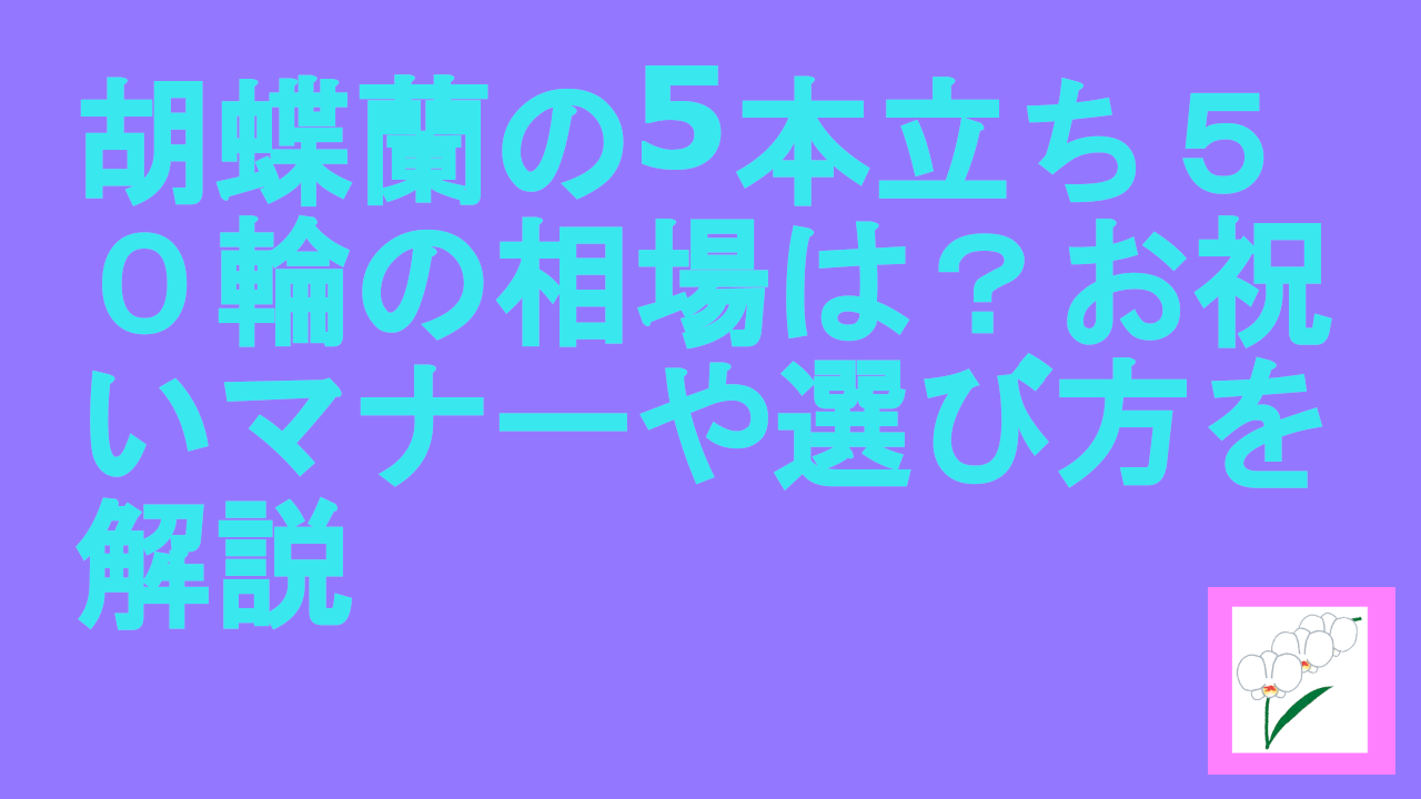胡蝶蘭の5本立ち５０輪の相場は？お祝いマナーや選び方を解説