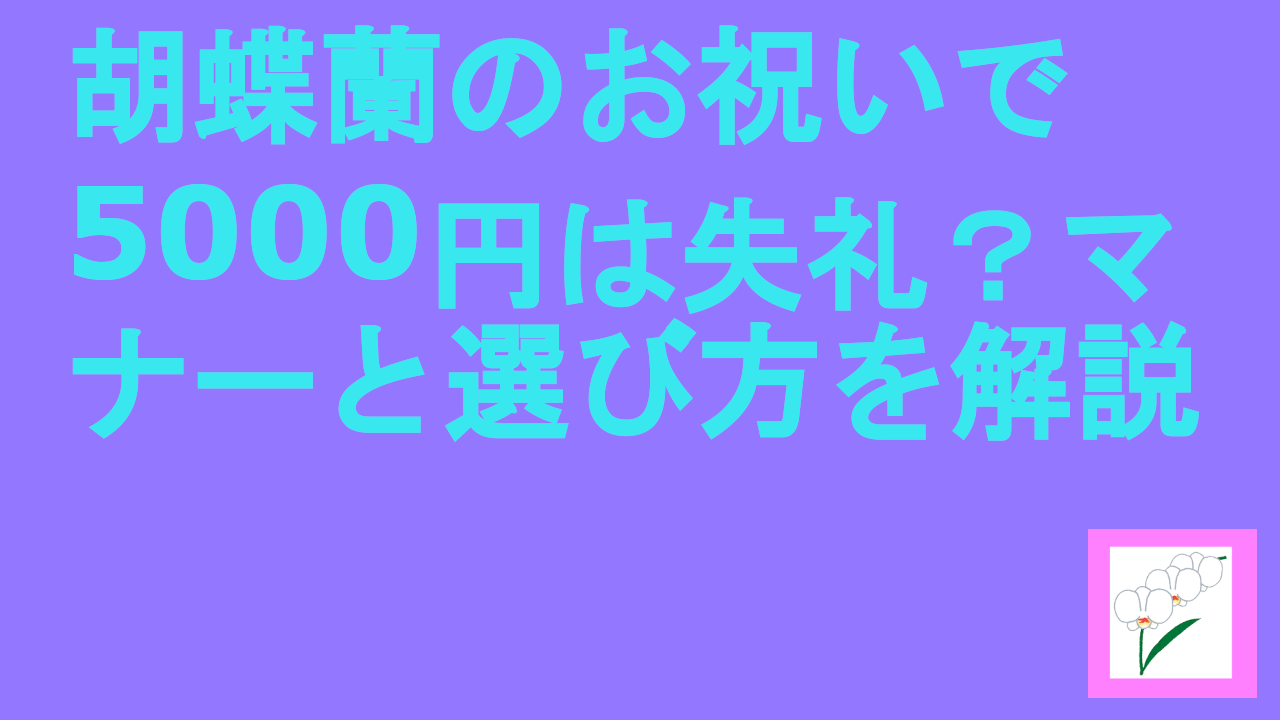 胡蝶蘭のお祝いで5000円は失礼？マナーと選び方を解説