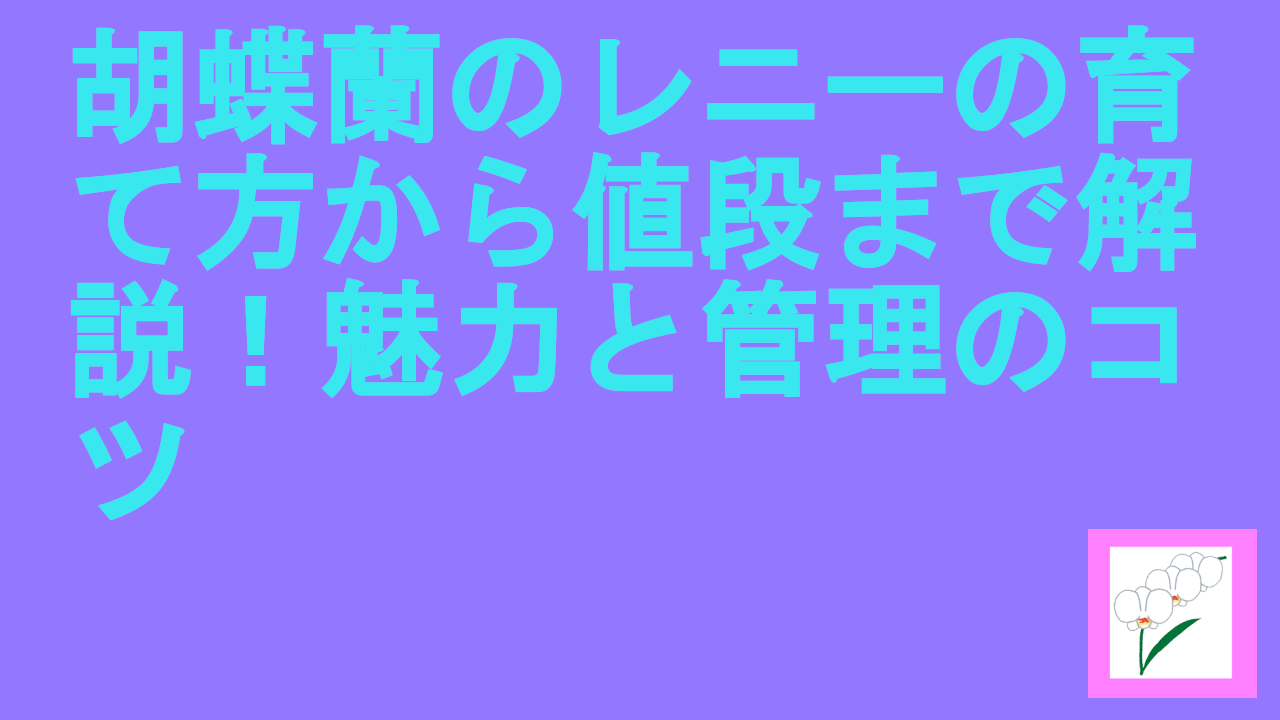 胡蝶蘭のレニーの育て方から値段まで解説！魅力と管理のコツ