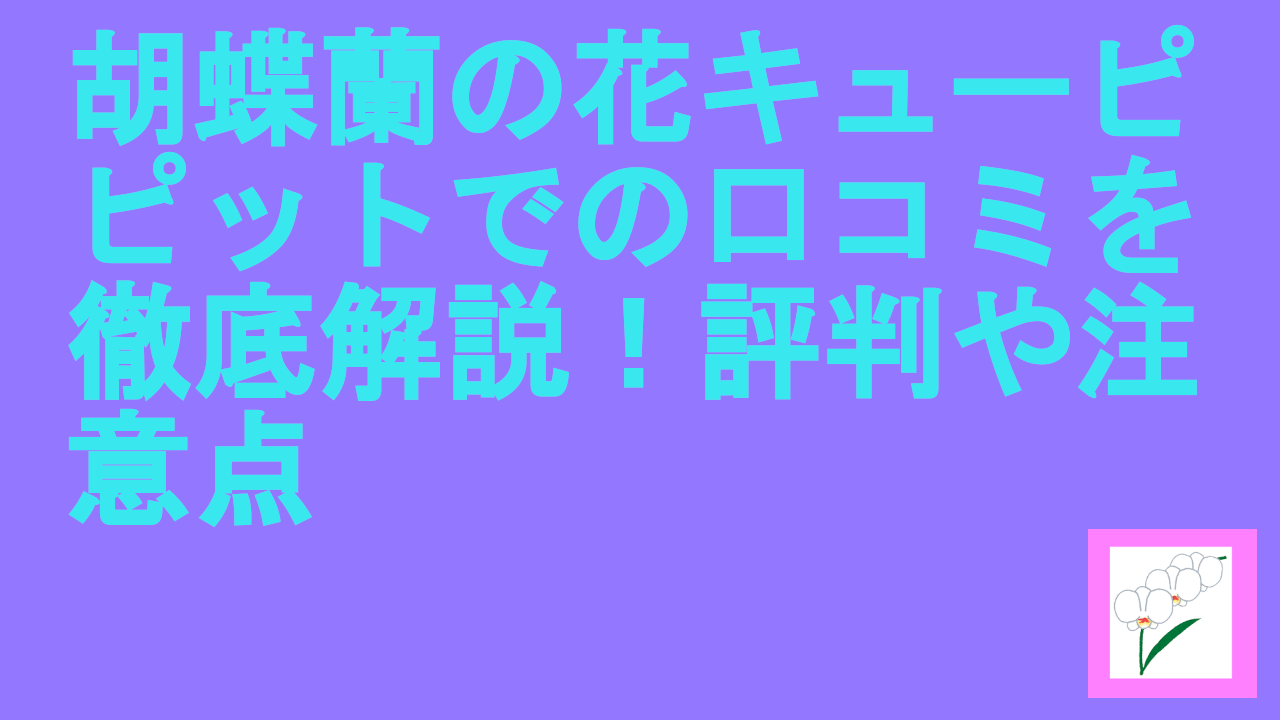 胡蝶蘭の花キューピピットでの口コミを徹底解説！評判や注意点