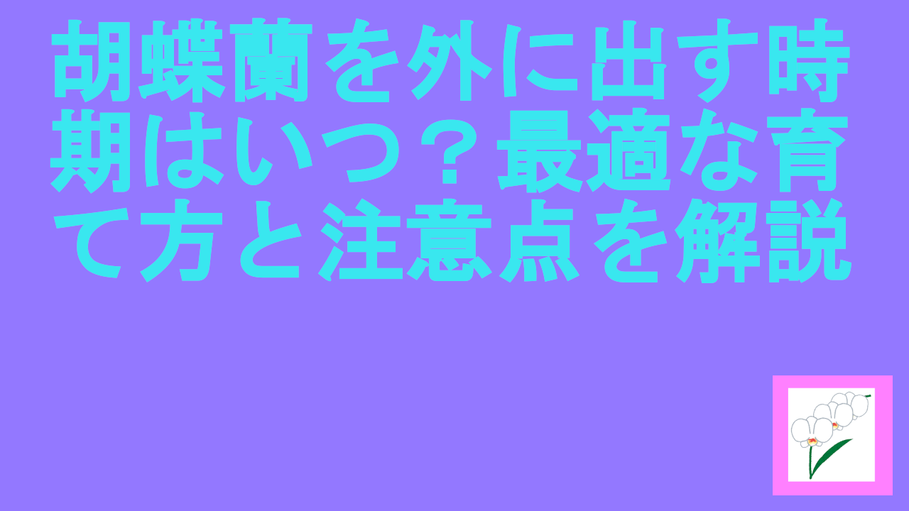 胡蝶蘭を外に出す時期はいつ？最適な育て方と注意点を解説