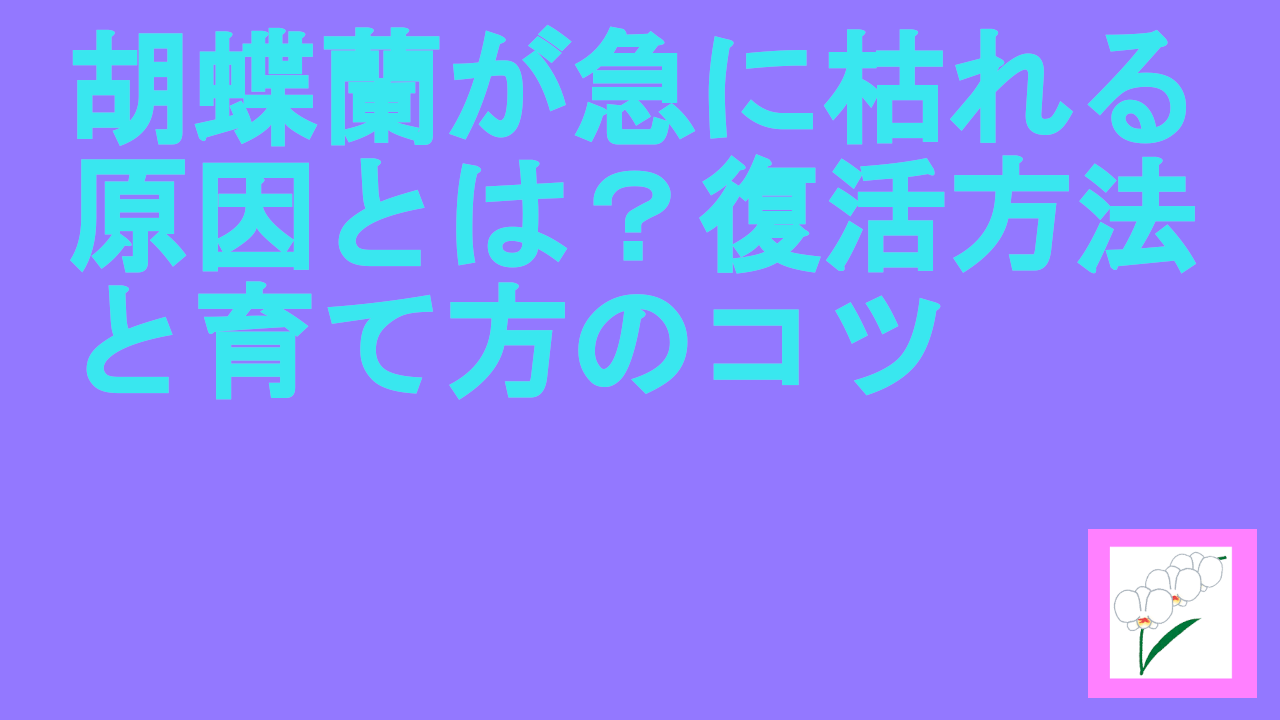 胡蝶蘭が急に枯れる原因とは？復活方法と育て方のコツ