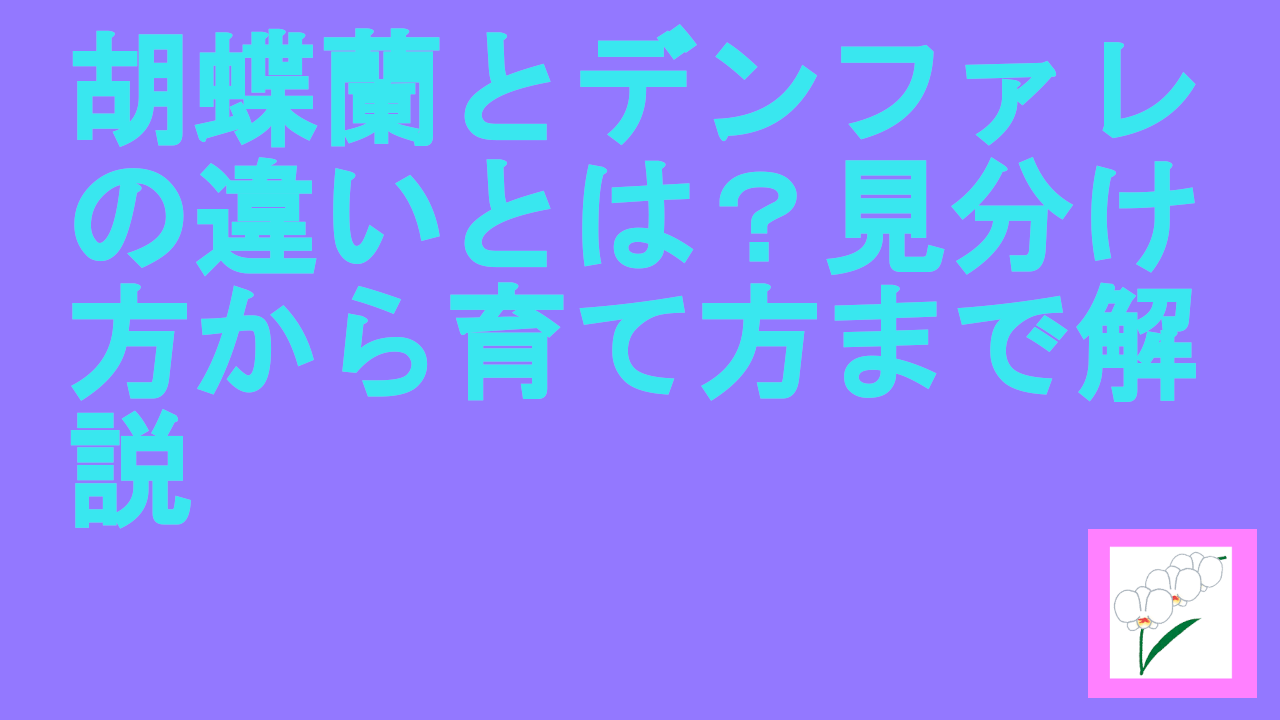 胡蝶蘭とデンファレの違いとは？見分け方から育て方まで解説