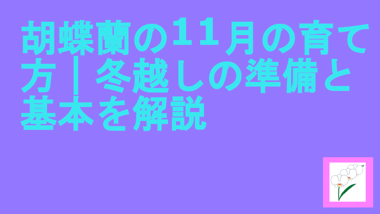 胡蝶蘭の11月の育て方｜冬越しの準備と基本を解説
