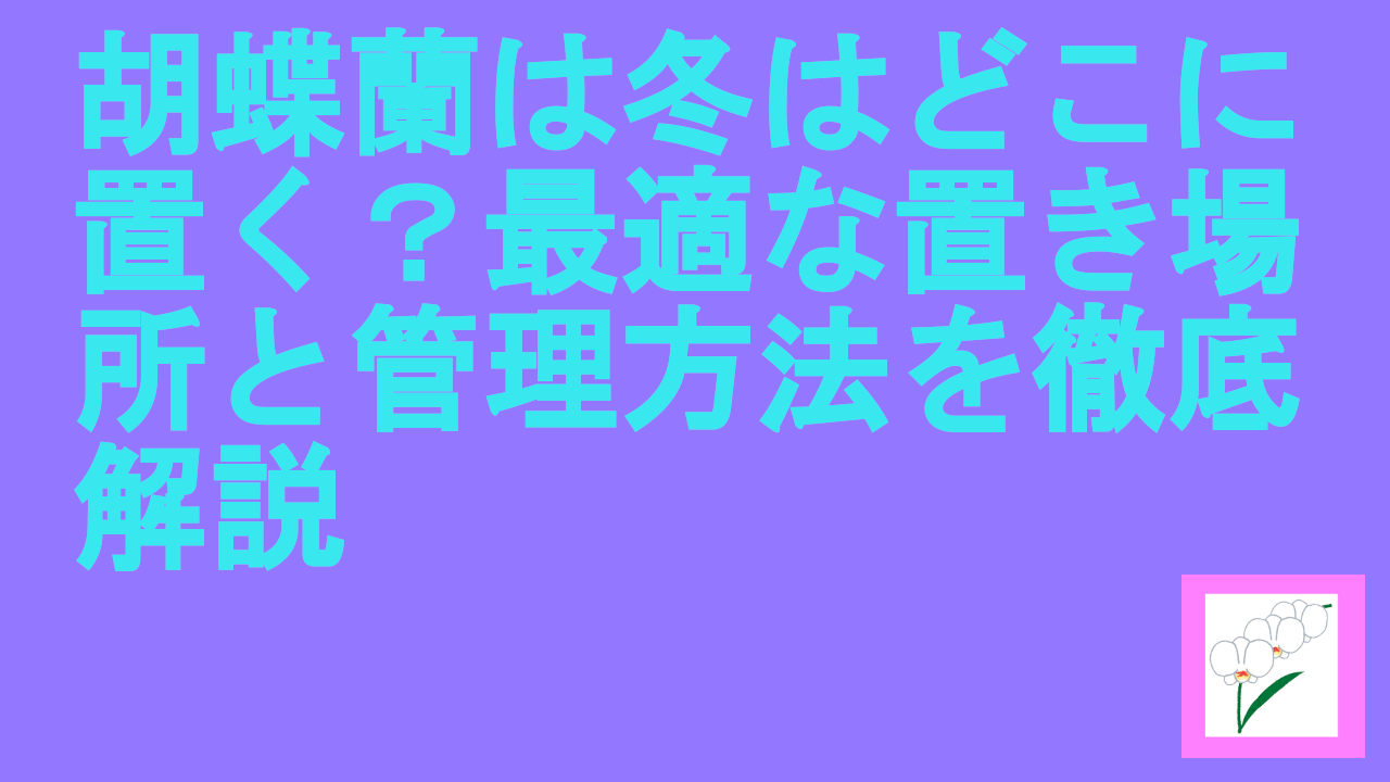 胡蝶蘭は冬はどこに置く？最適な置き場所と管理方法を徹底解説
