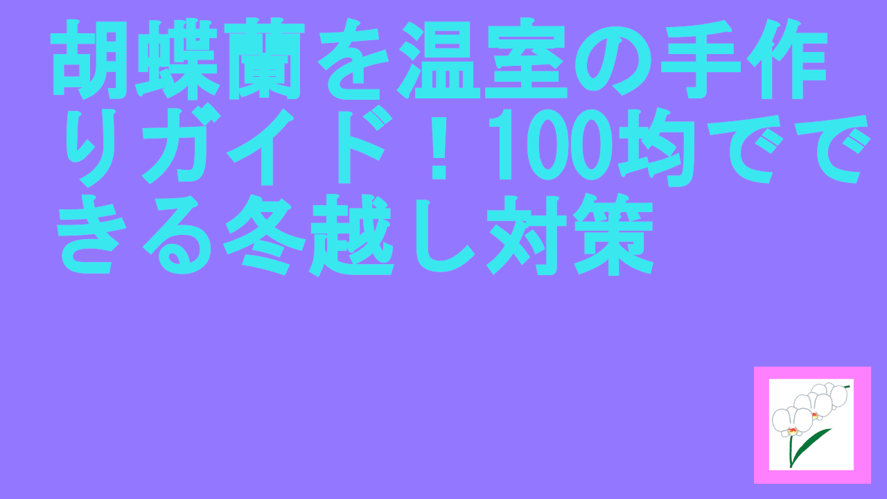 胡蝶蘭を温室の手作りガイド！100均でできる冬越し対策