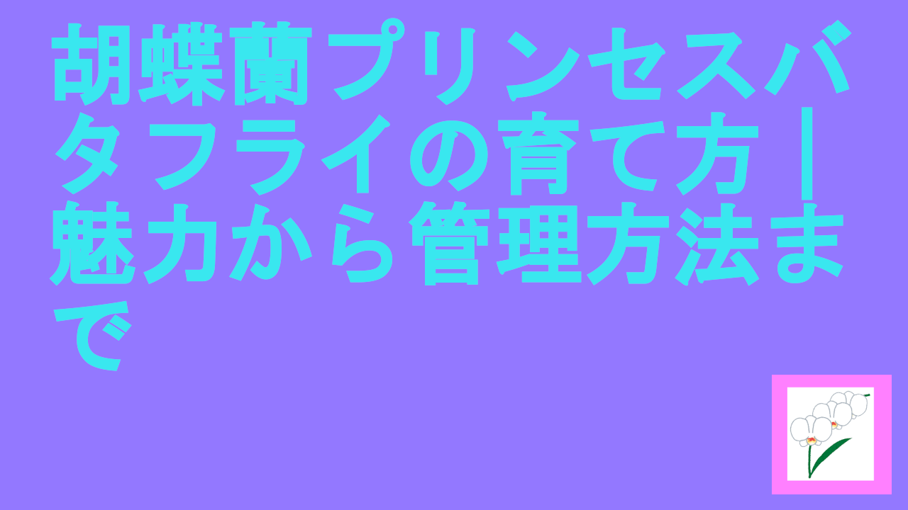 胡蝶蘭プリンセスバタフライの育て方｜魅力から管理方法まで