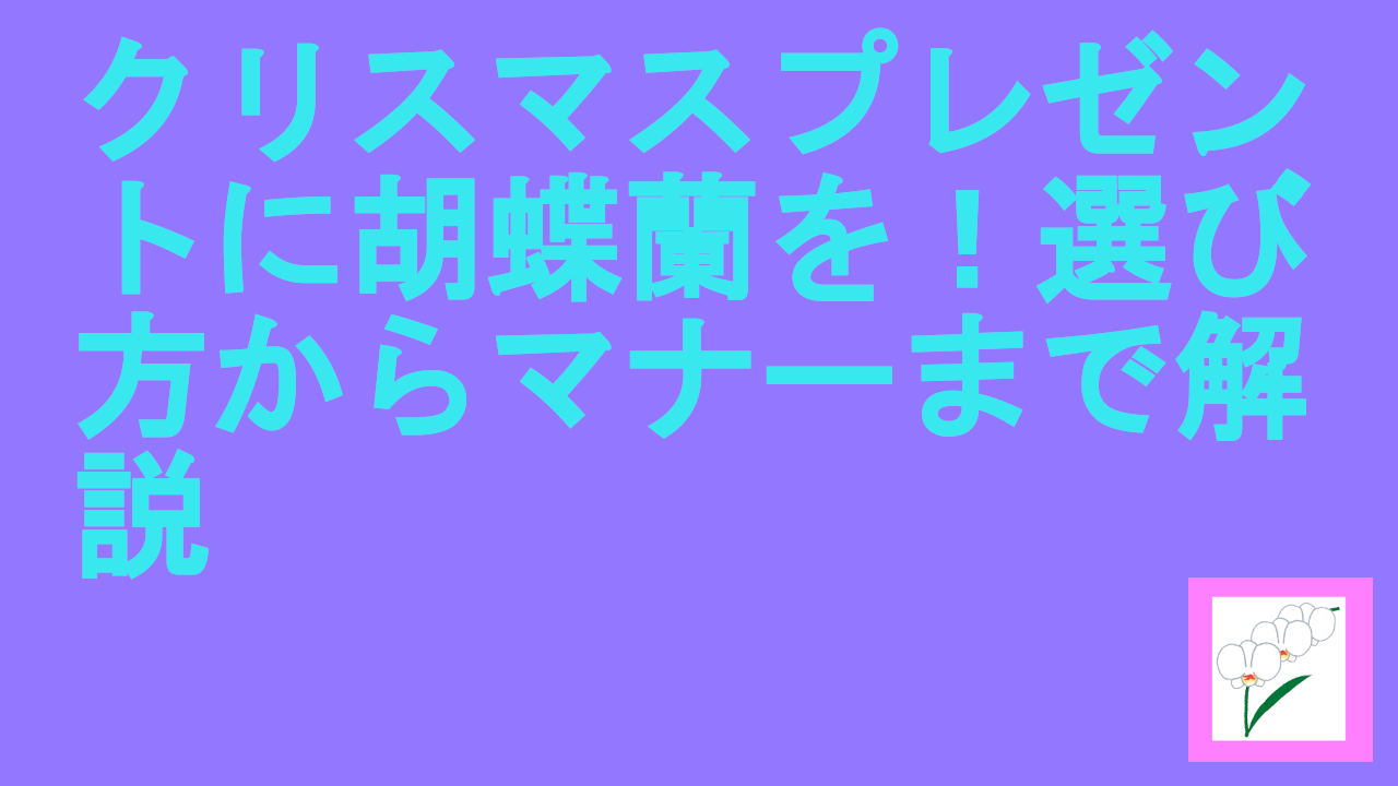 クリスマスプレゼントに胡蝶蘭を！選び方からマナーまで解説