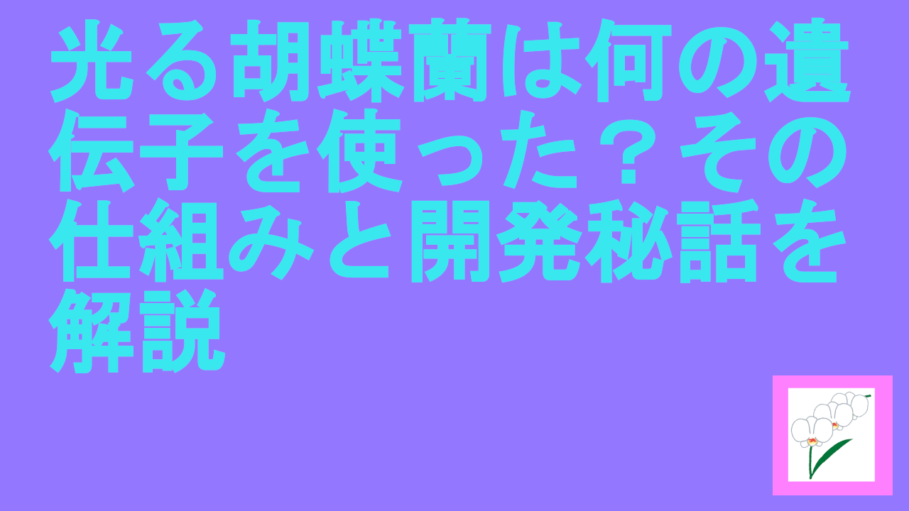 光る胡蝶蘭は何の遺伝子を使った？その仕組みと開発秘話を解説