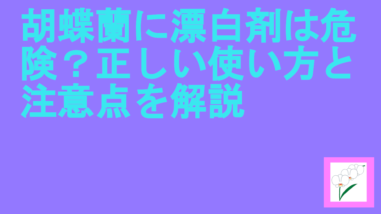 胡蝶蘭に漂白剤は危険？正しい使い方と注意点を解説