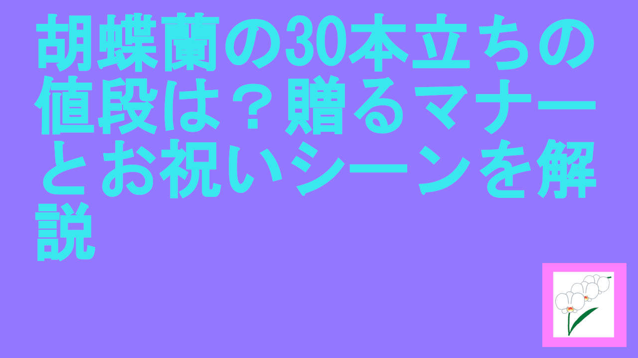 胡蝶蘭の30本立ちの値段は？贈るマナーとお祝いシーンを解説
