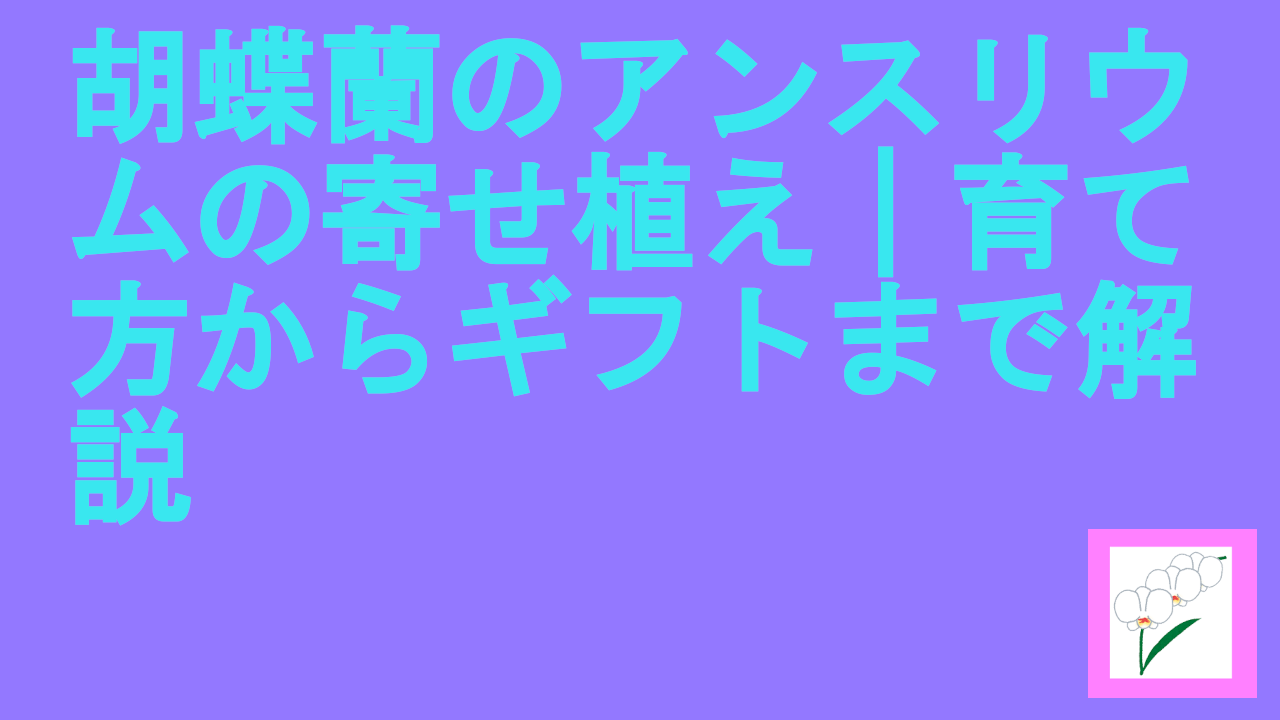 胡蝶蘭のアンスリウムの寄せ植え｜育て方からギフトまで解説.