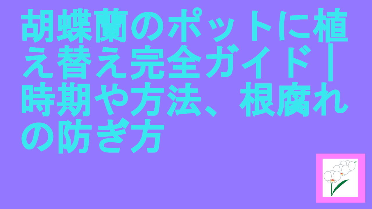 胡蝶蘭のポットに植え替え完全ガイド｜時期や方法、根腐れの防ぎ方