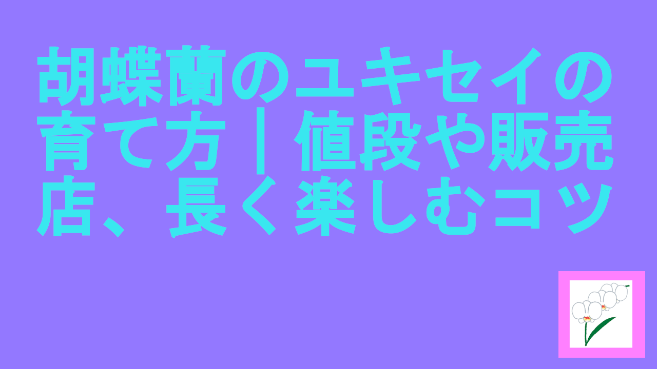 胡蝶蘭のユキセイの育て方｜値段や販売店、長く楽しむコツ.