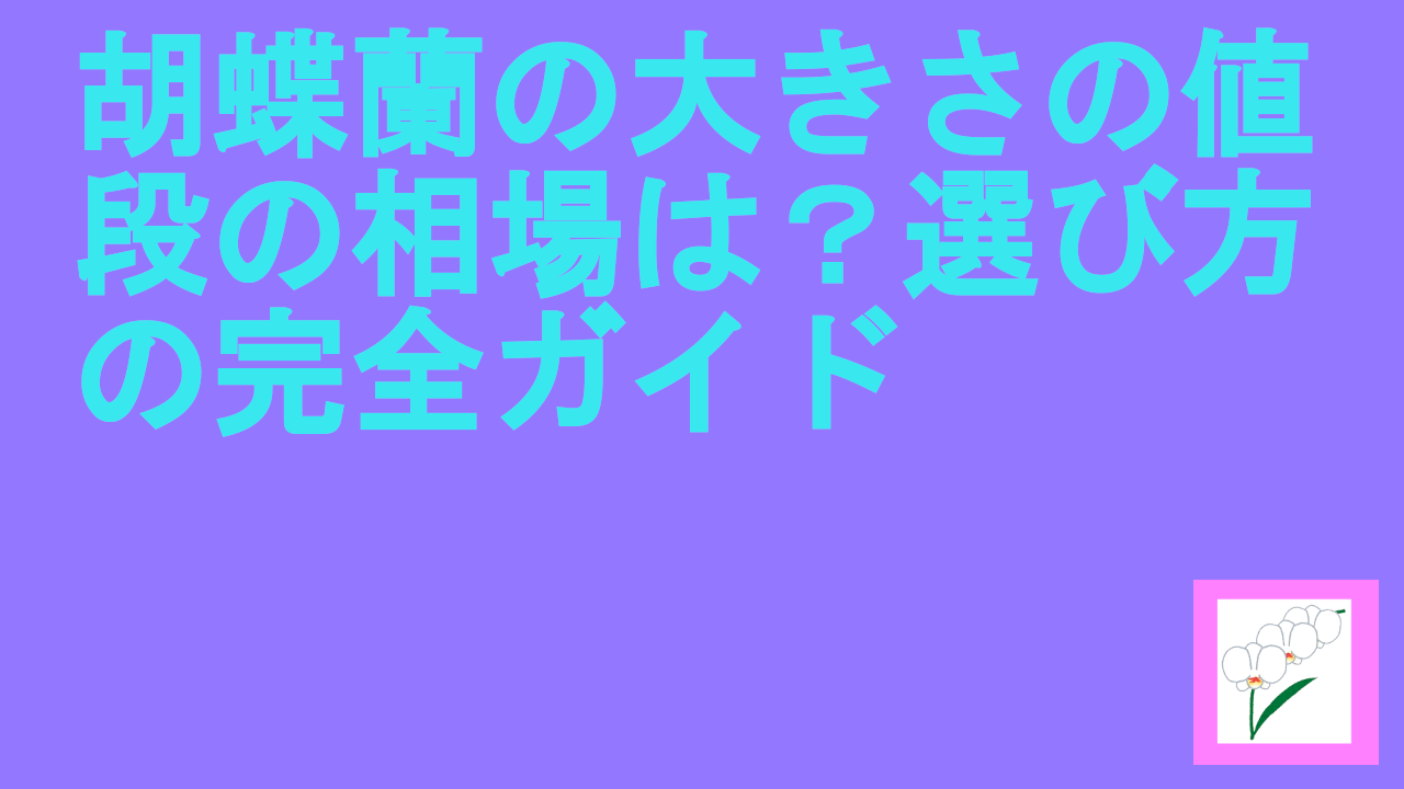 胡蝶蘭の大きさの値段の相場は？選び方の完全ガイド.