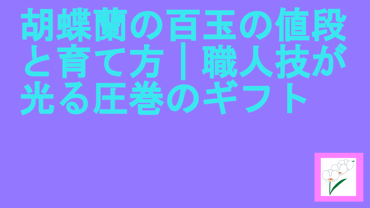 胡蝶蘭の百玉の値段と育て方｜職人技が光る圧巻のギフト