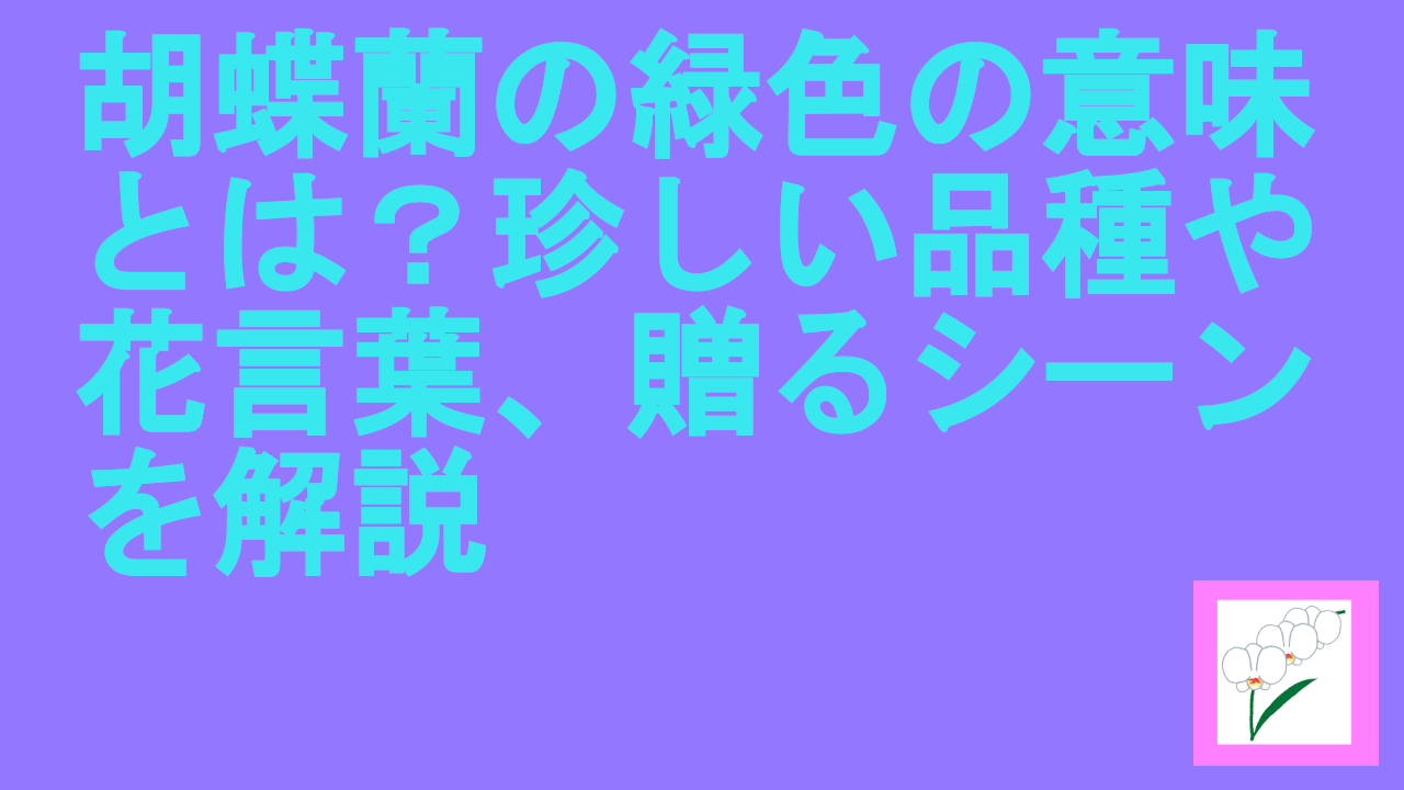 胡蝶蘭の緑色の意味とは？珍しい品種や花言葉、贈るシーンを解説