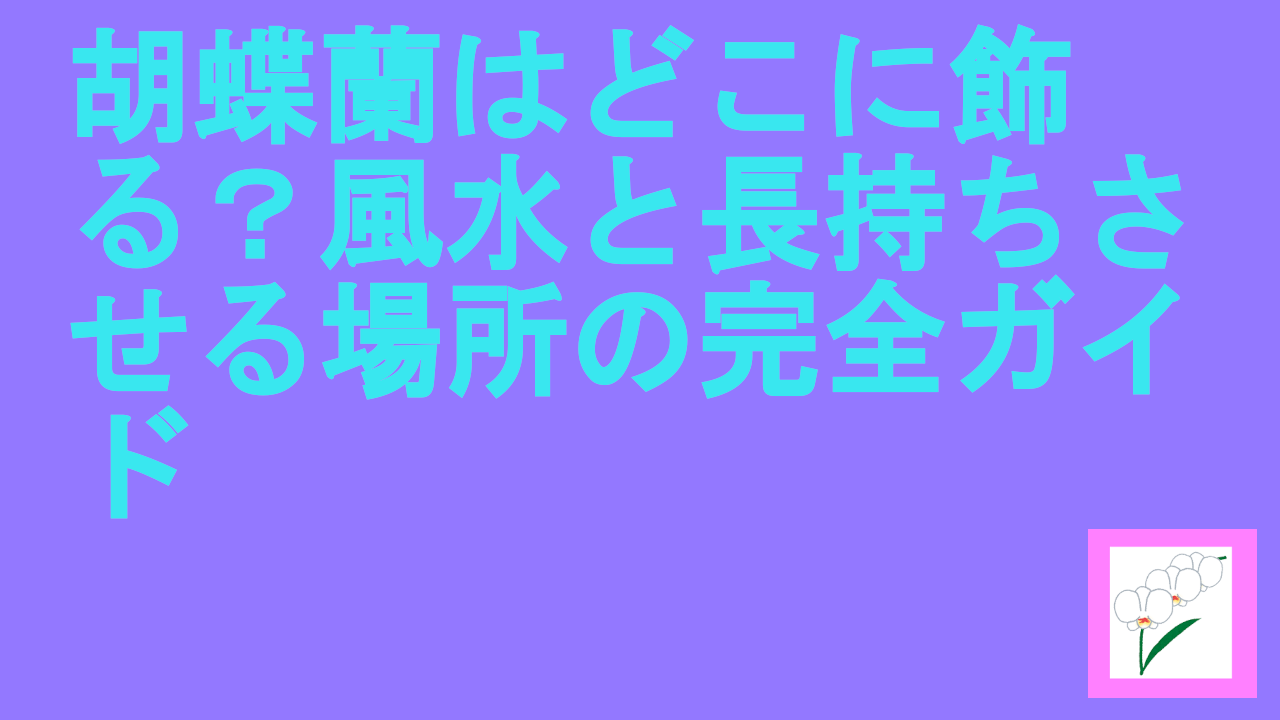 胡蝶蘭はどこに飾る？風水と長持ちさせる場所の完全ガイド