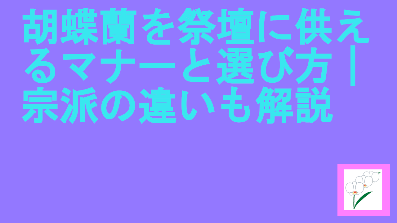 胡蝶蘭を祭壇に供えるマナーと選び方｜宗派の違いも解説