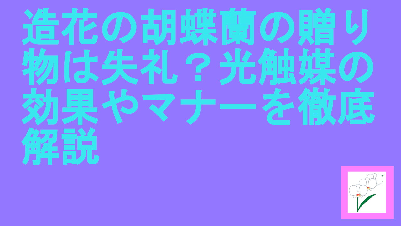 造花の胡蝶蘭の贈り物は失礼？光触媒の効果やマナーを徹底解説