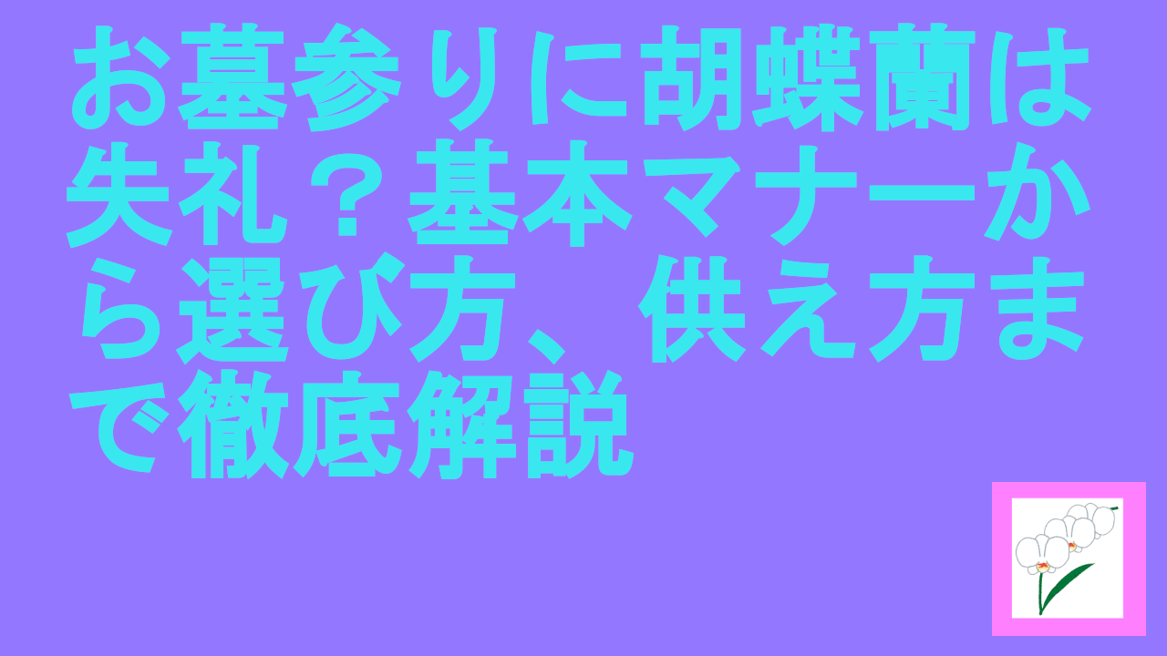 お墓参りに胡蝶蘭は失礼？基本マナーから選び方、供え方まで徹底解説