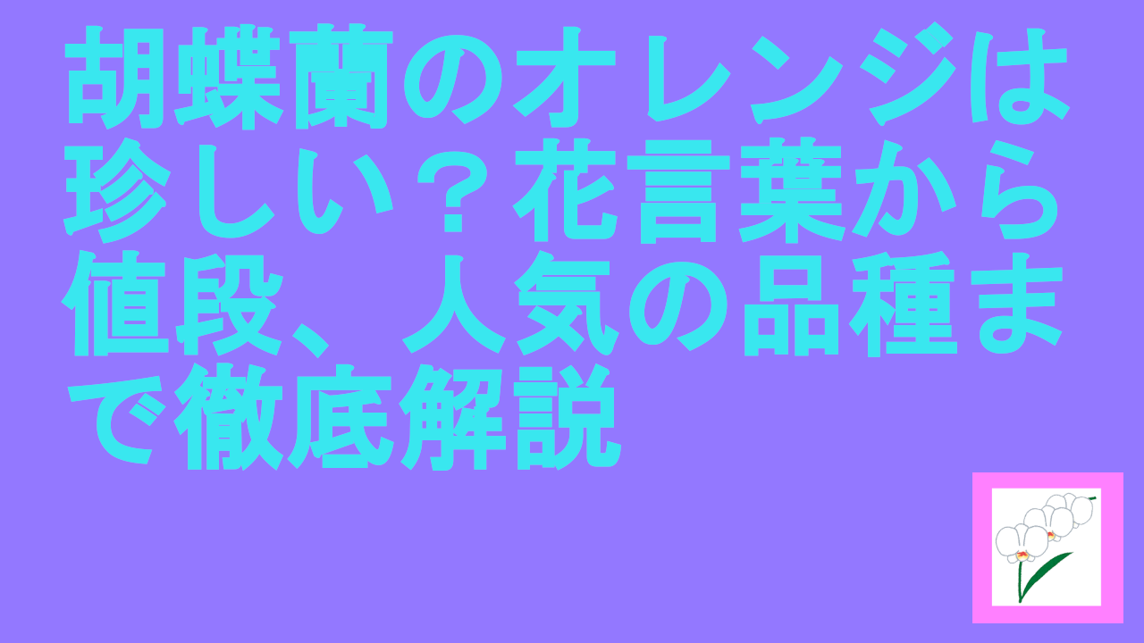 胡蝶蘭のオレンジは珍しい？花言葉から値段、人気の品種まで徹底解説