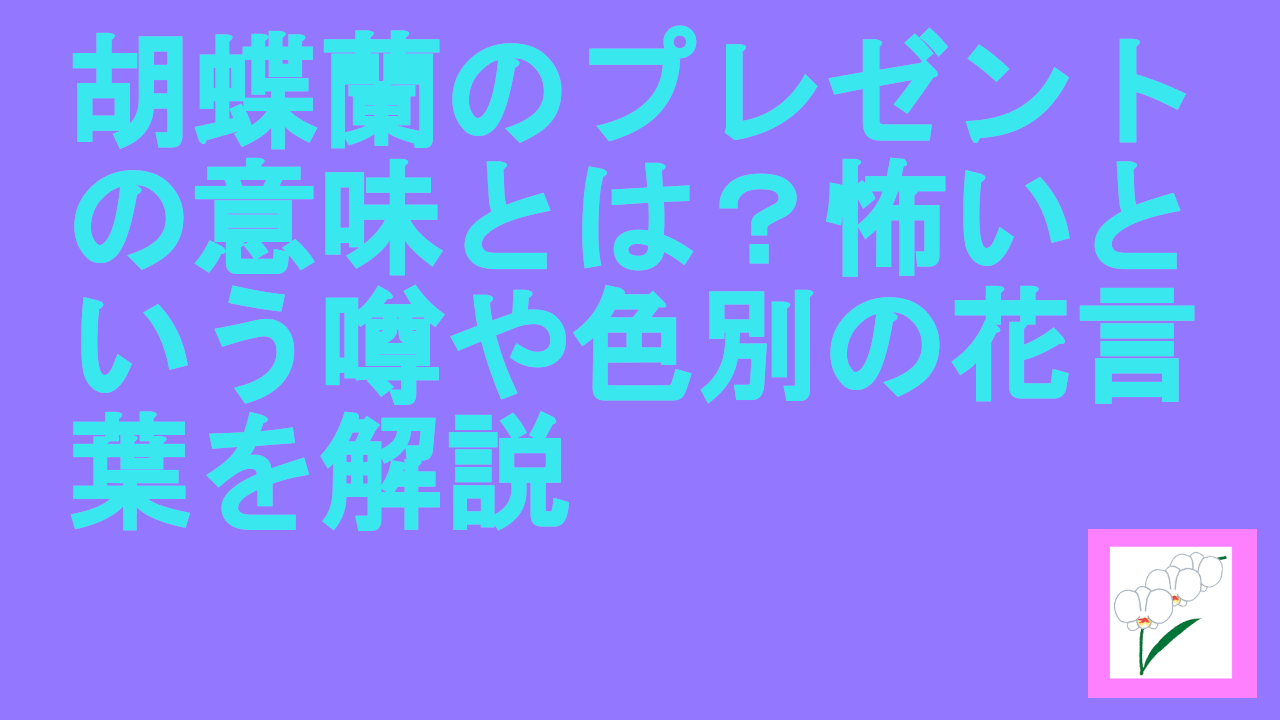 胡蝶蘭のプレゼントの意味とは？怖いという噂や色別の花言葉を解説