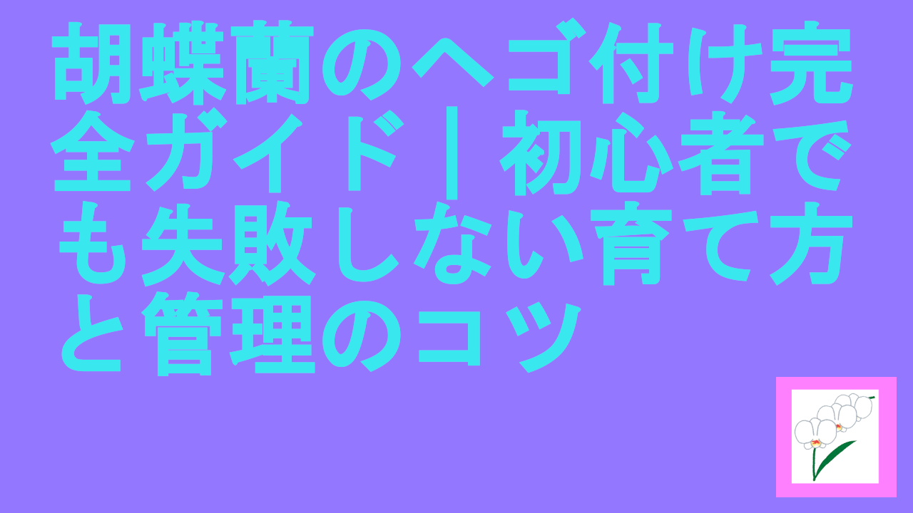 胡蝶蘭のヘゴ付け完全ガイド｜初心者でも失敗しない育て方と管理のコツ