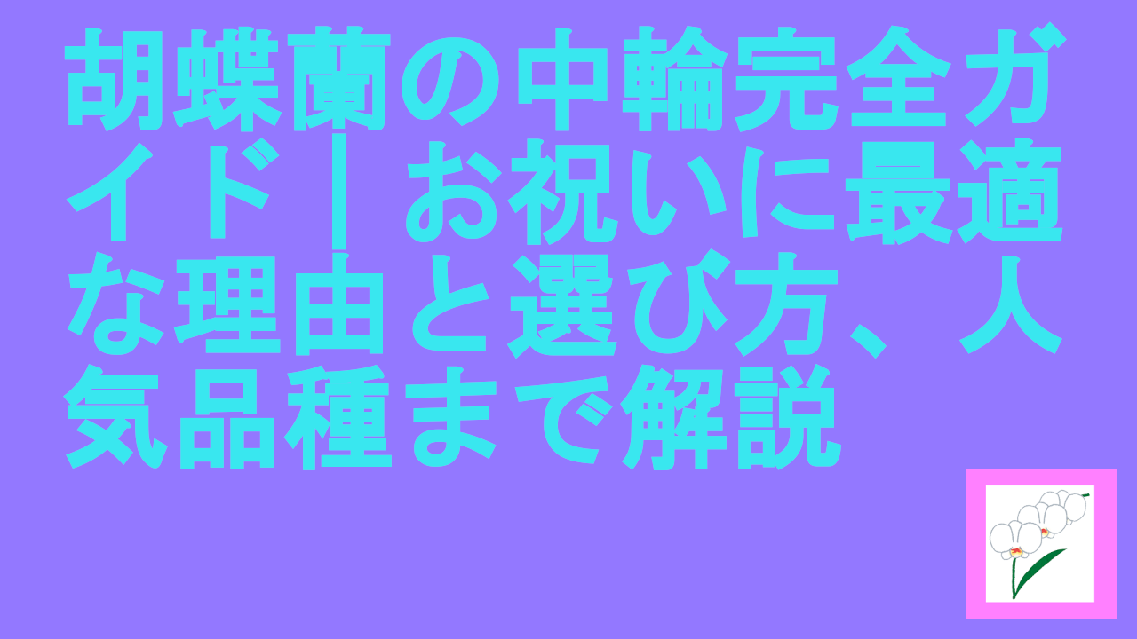 胡蝶蘭の中輪完全ガイド｜お祝いに最適な理由と選び方、人気品種まで解説