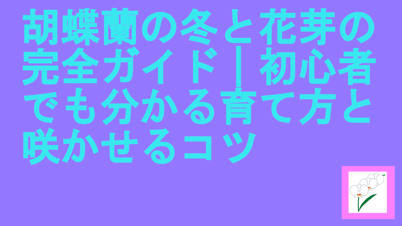 胡蝶蘭の冬と花芽の完全ガイド｜初心者でも分かる育て方と咲かせるコツ
