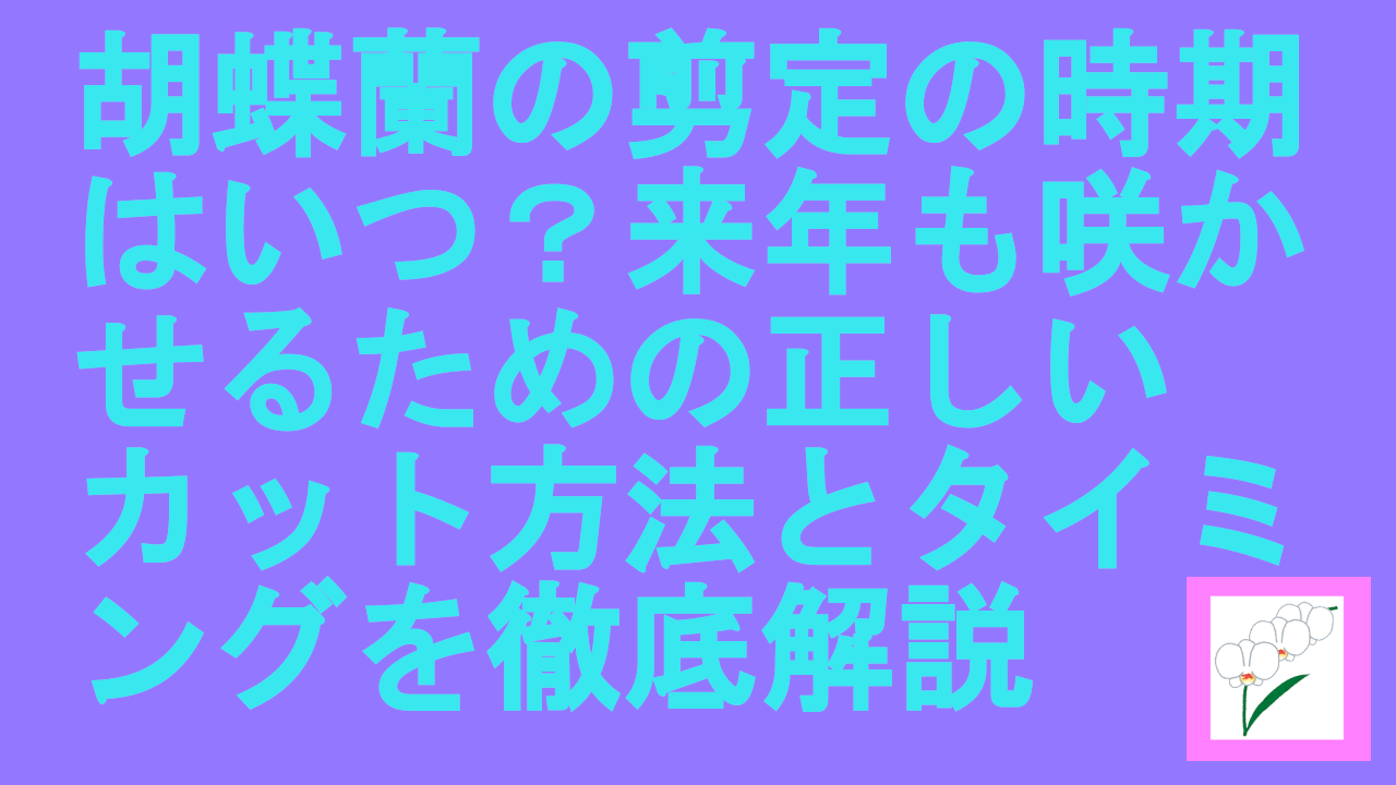 胡蝶蘭の剪定の時期はいつ？来年も咲かせるための正しいカット方法とタイミングを徹底解説