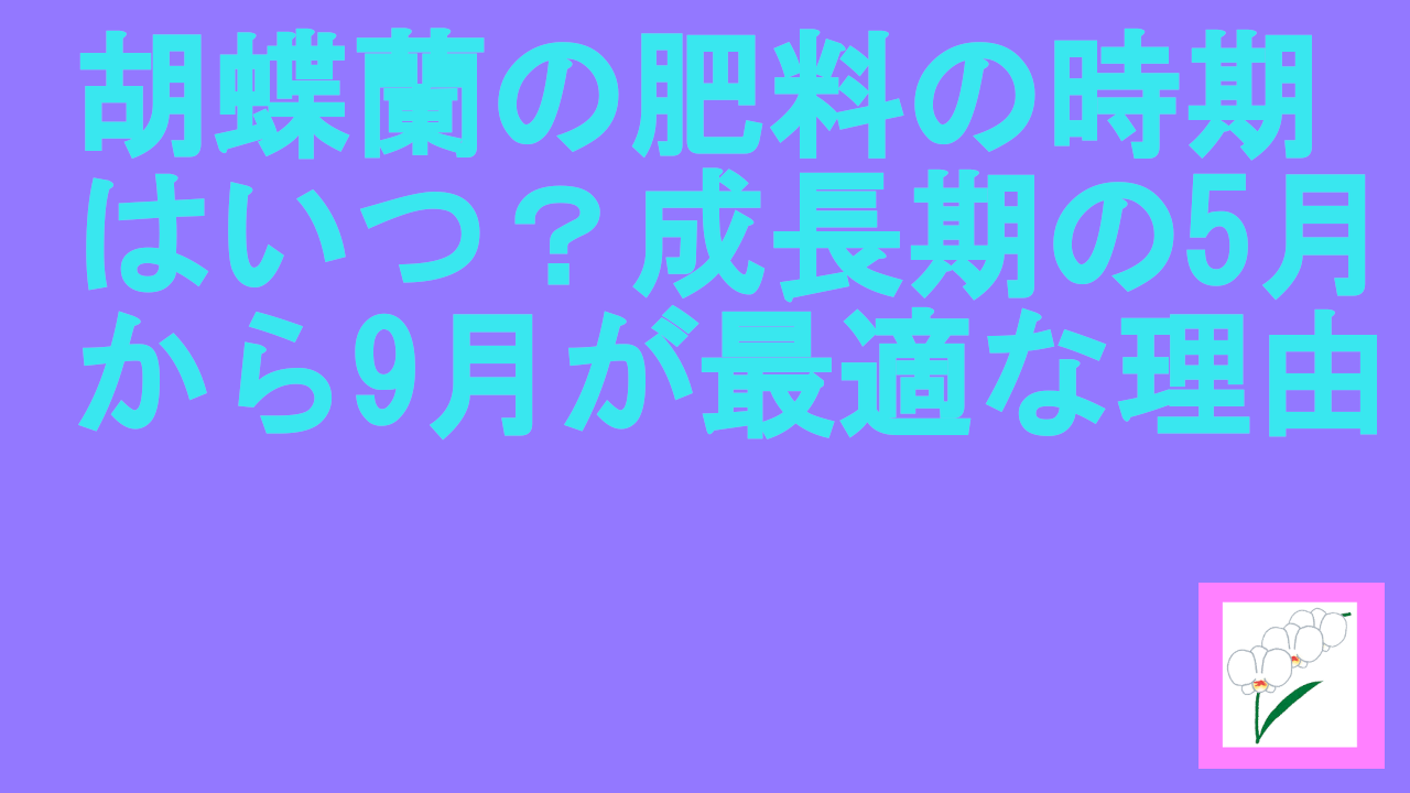 胡蝶蘭の肥料の時期はいつ？成長期の5月から9月が最適な理由