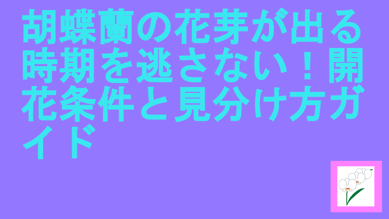 胡蝶蘭の花芽が出る時期を逃さない！開花条件と見分け方ガイド