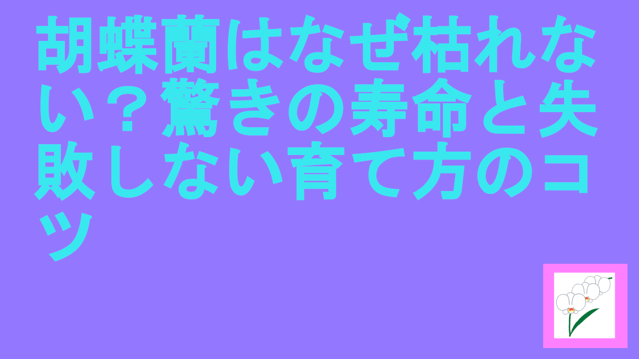 胡蝶蘭はなぜ枯れない？驚きの寿命と失敗しない育て方のコツ