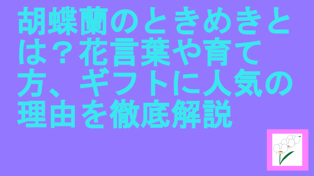 胡蝶蘭のときめきとは？花言葉や育て方、ギフトに人気の理由を徹底解説