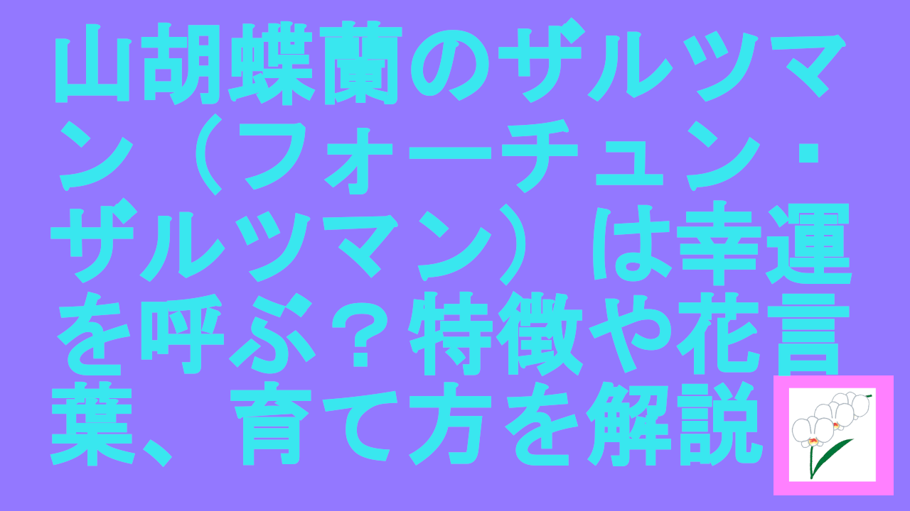 胡蝶蘭のザルツマン（フォーチュン・ザルツマン）は幸運を呼ぶ？特徴や花言葉、育て方を徹底解説