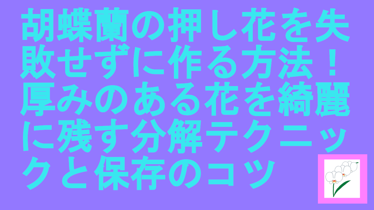 胡蝶蘭の押し花を失敗せずに作る方法！厚みのある花を綺麗に残す分解テクニックと保存のコツ