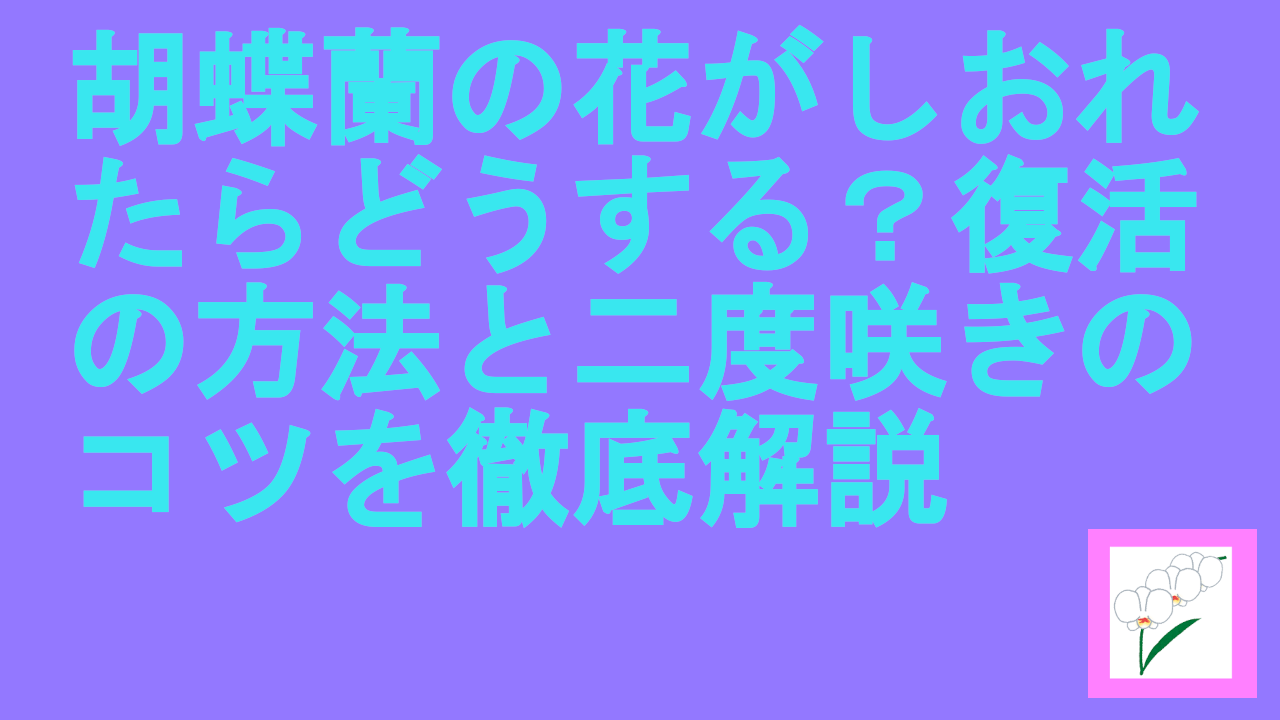 胡蝶蘭の花がしおれたらどうする？復活の方法と二度咲きのコツを徹底解説