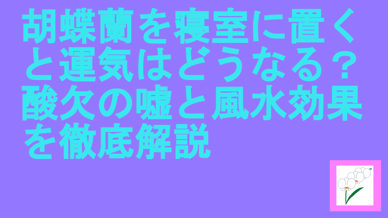 胡蝶蘭を寝室に置くと運気はどうなる？酸欠の嘘と風水効果を徹底解説