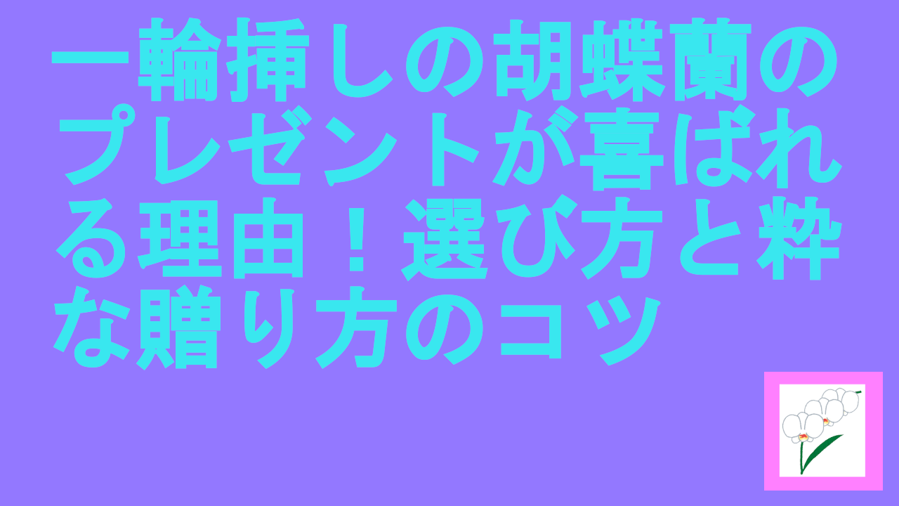 一輪挿しの胡蝶蘭のプレゼントが喜ばれる理由！選び方と粋な贈り方のコツ