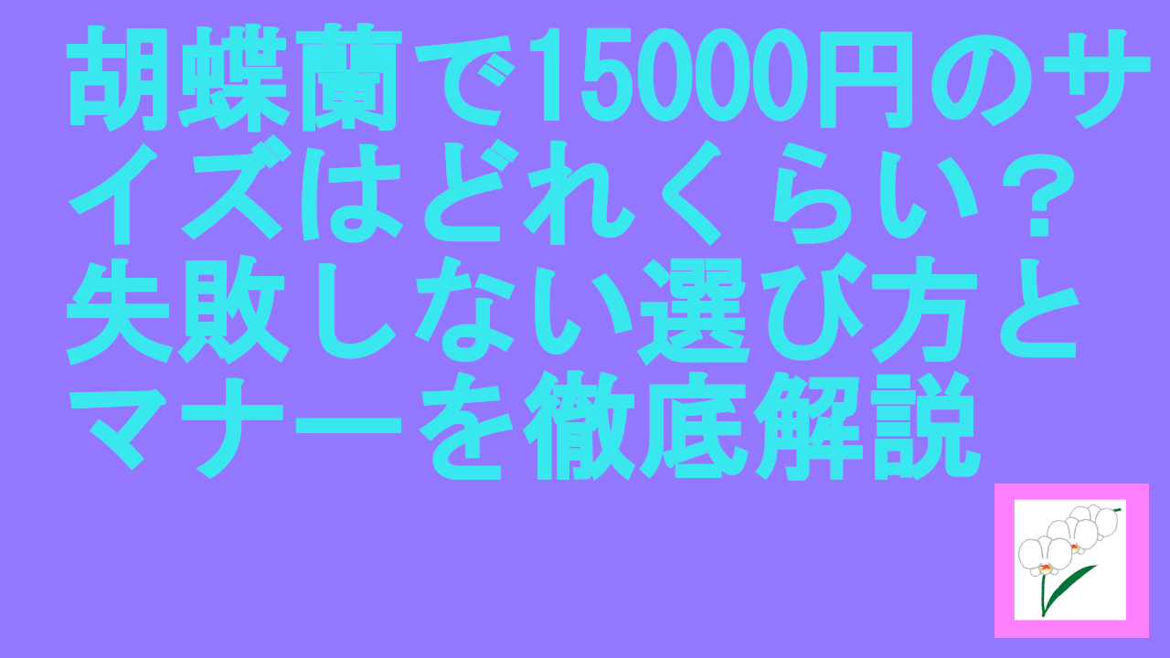 胡蝶蘭で15000円のサイズはどれくらい？失敗しない選び方とマナーを徹底解説